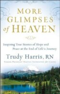 9780800734404 More Glimpses Of Heaven (Reprinted)