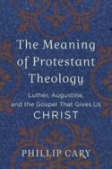 9780801039454 Meaning Of Protestant Theology
