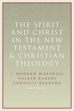 9780802867537 Spirit And Christ In The New Testament And Christian Theology