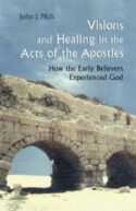 9780814627976 Visions And Healing In The Acts Of The Apostles