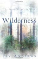 9781449726775 Wanderings In The Wilderness
