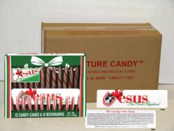 Scripture Candy Canes with Jesus Bookmarks Case