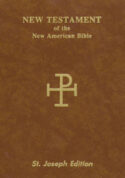 New American Bible