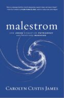 9780310138891 Malestrom : How Jesus Dismantles Patriarchy And Redefines Manhood