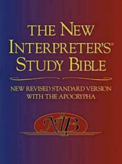9780687278329 New Interpreters Study Bible