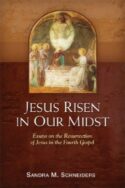 9780814680841 Jesus Risen In Our Midst