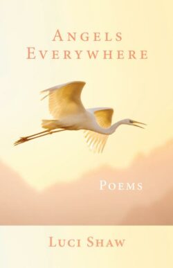 9781640607200 Angels Everywhere : Poems