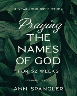9780310145158 Praying The Names Of God For 52 Weeks