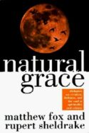 9780385483599 Natural Grace : Dialogues On Creation Darkness And The Soul In Spirituality