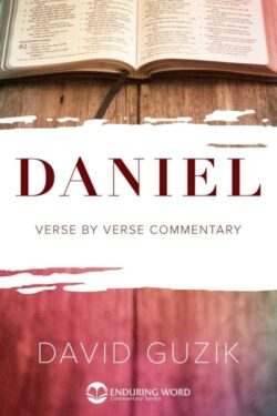 9781565990364 Daniel : Verse By Verse Commentary