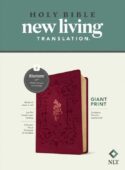 9781496482297 Giant Print Bible Filament Enabled Edition