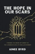 9780310157144 Hope In Our Scars