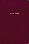 9781087782744 Rainbow Study Bible