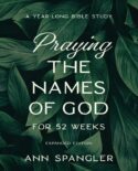 9780310145158 Praying The Names Of God For 52 Weeks