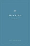 9781433558979 Economy Bible Giant Print