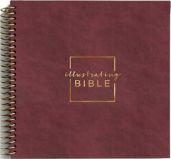 9798886028621 Illustrating Bible