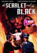 011301693365 Scarlet And The Black (DVD)