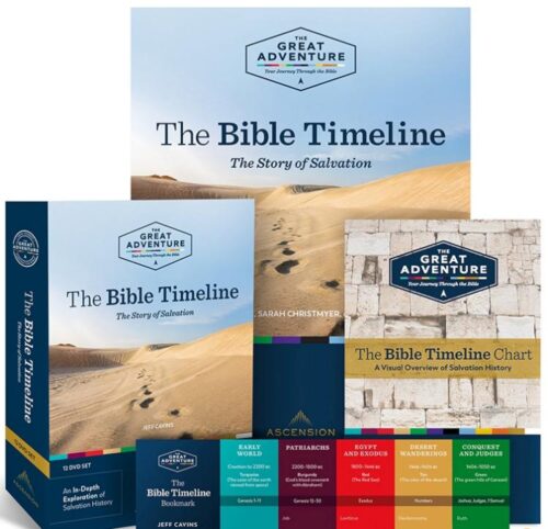 0811661015698 Bible Timeline The Story Of Salvation Starter Pack