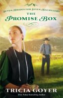 9780310335122 Promise Box