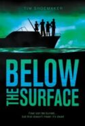 9780310737650 Below The Surface