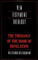 9780521356916 Theology Of The Book Of Revelation
