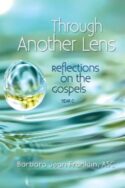 9780764817731 Through Another Lens Reflections On The Gospels Year C