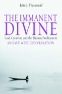 9780800637934 Immanent Divine : God Creation And The Human Predicament