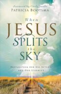 9780800772772 When Jesus Splits The Sky