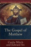 9780801036026 Gospel Of Matthew (Reprinted)