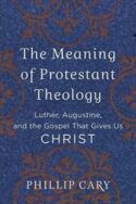 9780801039454 Meaning Of Protestant Theology