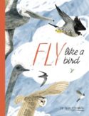 9780802856456 Fly Like A Bird