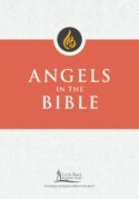 9780814665596 Angels In The Bible