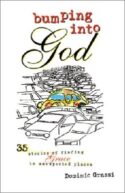 9780829416541 Bumping Into God