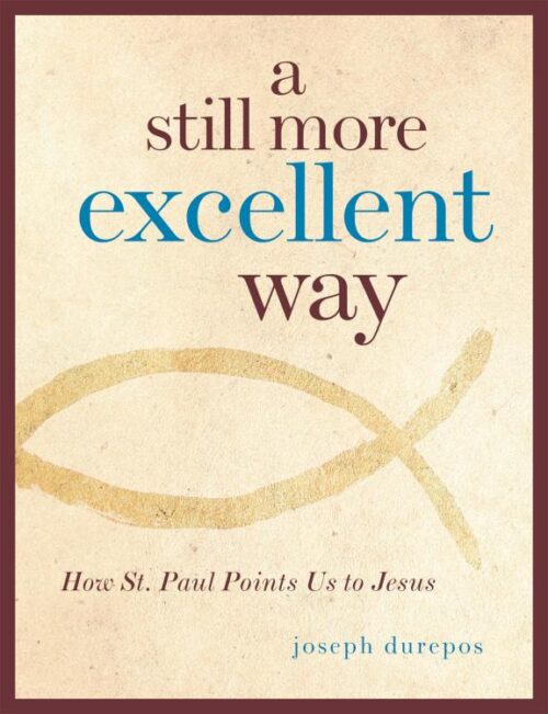 9780829427585 Still More Excellent Way