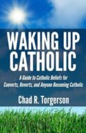 9780989531900 Waking Up Catholic