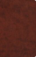 9781433550263 Large Print Value Thinline Bible