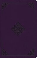 9781433581663 Large Print Personal Size Bible