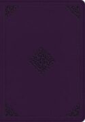 9781433581694 Single Column Journaling Bible Large Print