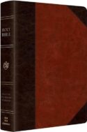 9781433599538 Readers Bible