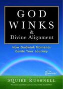 9781451667776 Godwinks And Divine Alignment