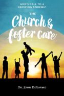 9781563094712 Church And Foster Care