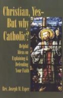 9781579183400 Christian Yes But Why Catholic