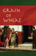 9781594170782 Grain Of Wheat