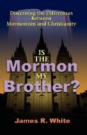 9781599251202 Is The Mormon My Brother