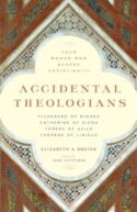 9781616365141 Accidental Theologians