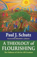 9781626986145 Theology Of Flourishing