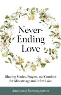 9781627857741 Never Ending Love