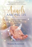 9781683970514 Angels Among Us
