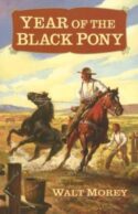 9781932350081 Year Of The Black Pony