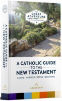 9781935940333 Catholic Guide To The New Testament